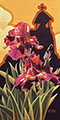 Iris Passion